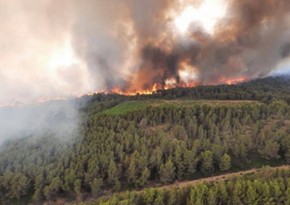В результате лесных пожаров во Франции погибли два человека