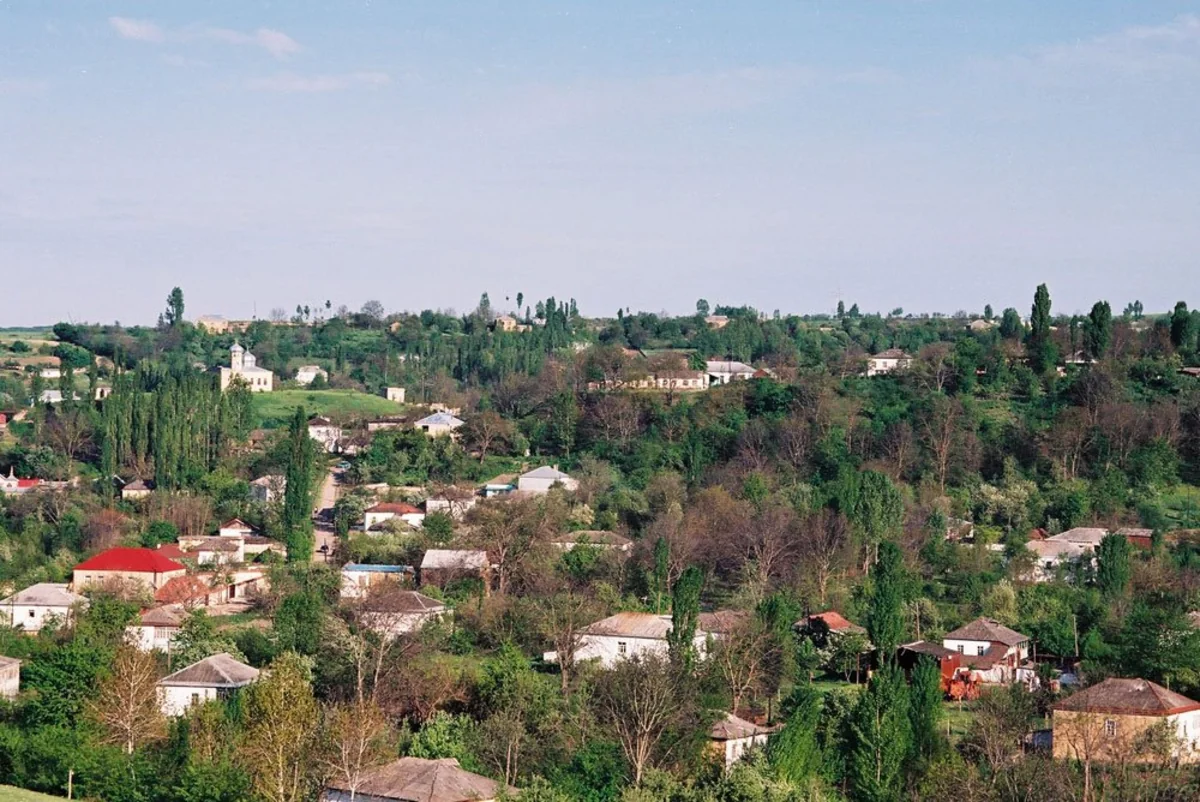 İcra nümayəndəsi: İşdən azad olunmağım üçün ərizə yazmışam