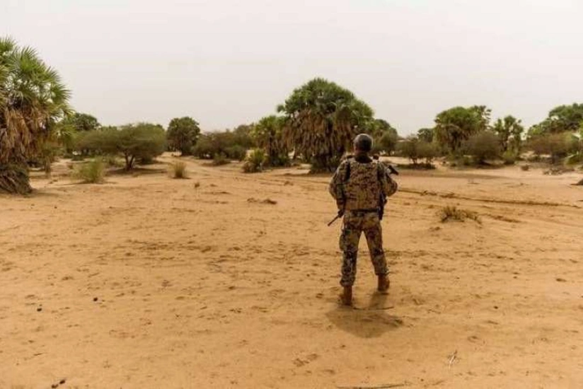 Malidə silahlı hücum zamanı 53 əsgər öldürülüb - YENİLƏNİB-2