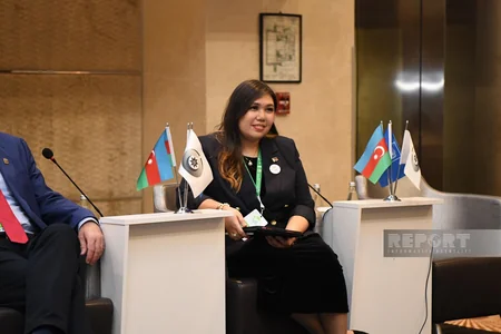 International Baku Forum of Ombudsmen mull climate change and human rights