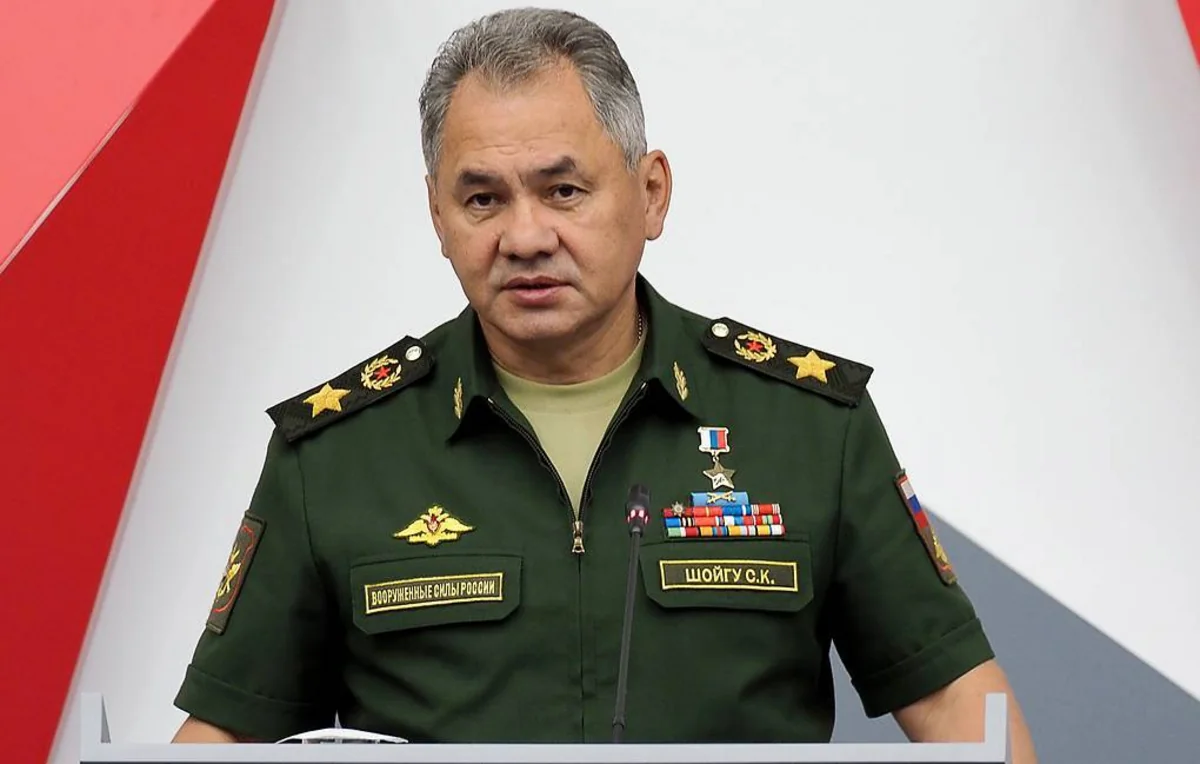 Шойгу: турецкая операция в Сирии может привести к обратной миграции боевиков