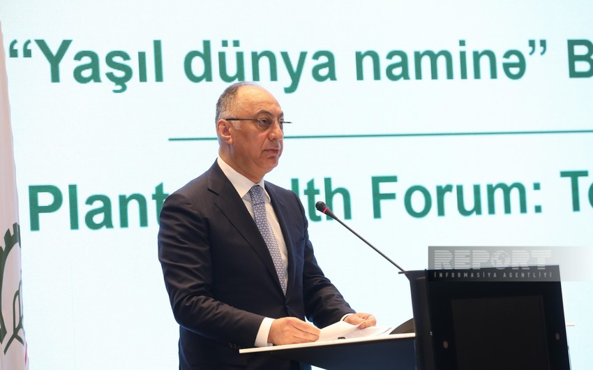 Azerbaijan creating phytosanitary risk management system 