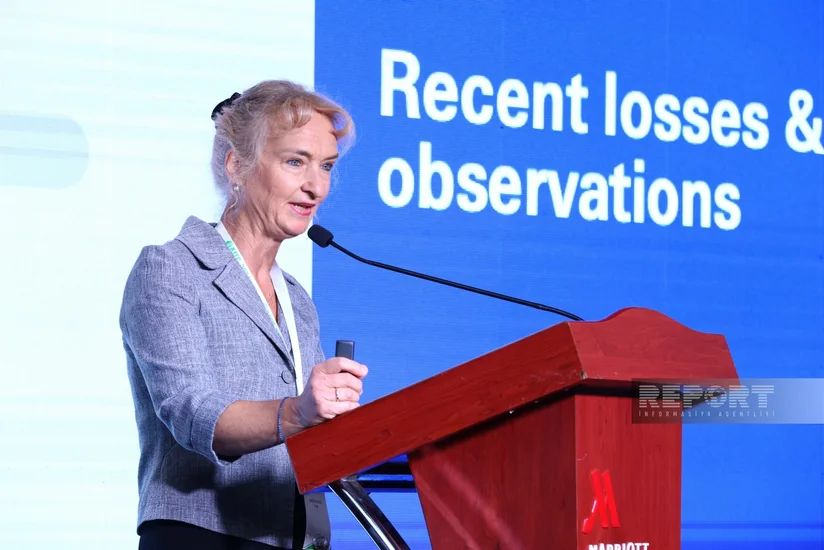 Swiss Re rəsmisi: Sığorta şirkətlərinin təbii fəlakətlərlə bağlı xərcləri 2 dəfə arta bilər