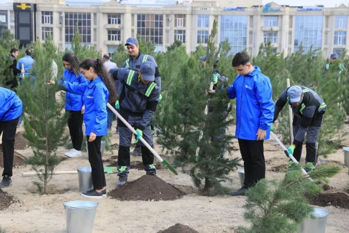 Zəfər Günü ilə bağlı Bakıda ağacəkmə aksiyası keçirilib