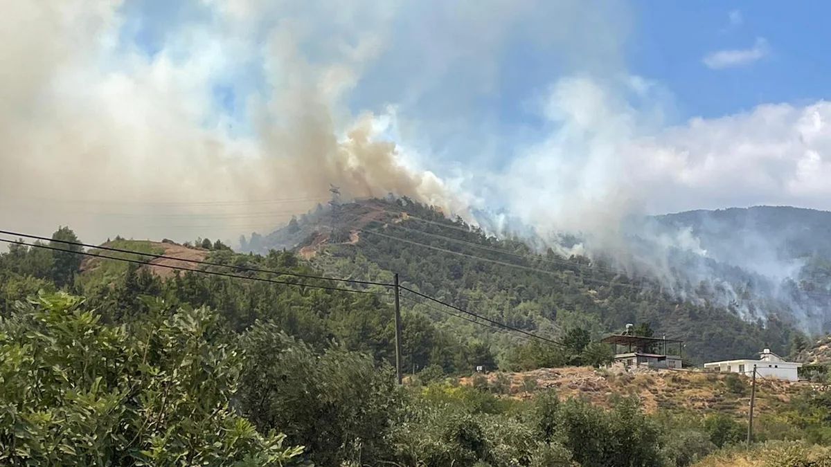 Eighteen bodies found in Greek forest hit by fire