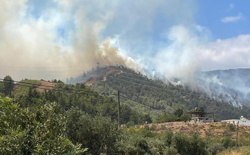 Çanaqqalada meşə yanğınları nəzarət altına alınıb