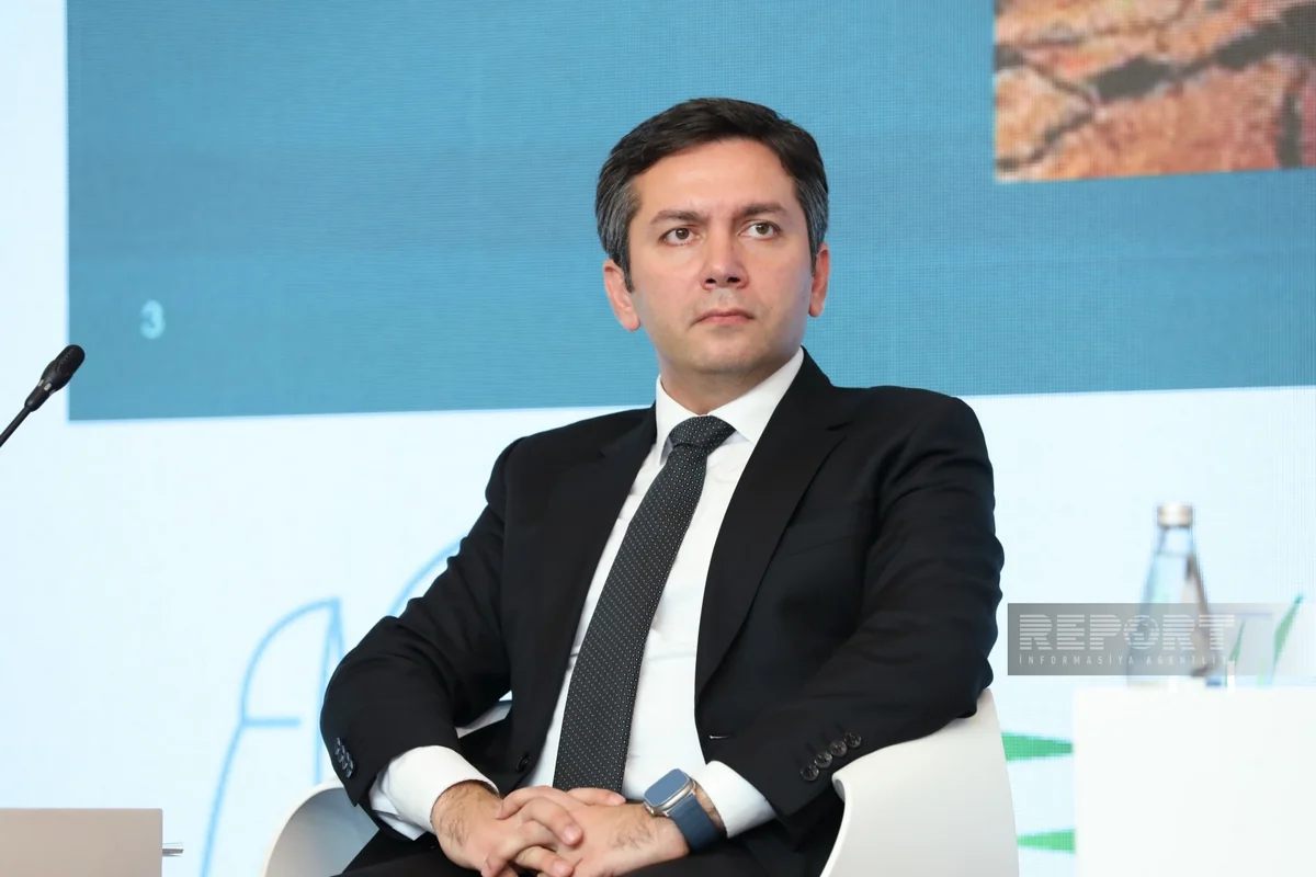 Yalchin Rafiyev: Human health and climate change interconnected