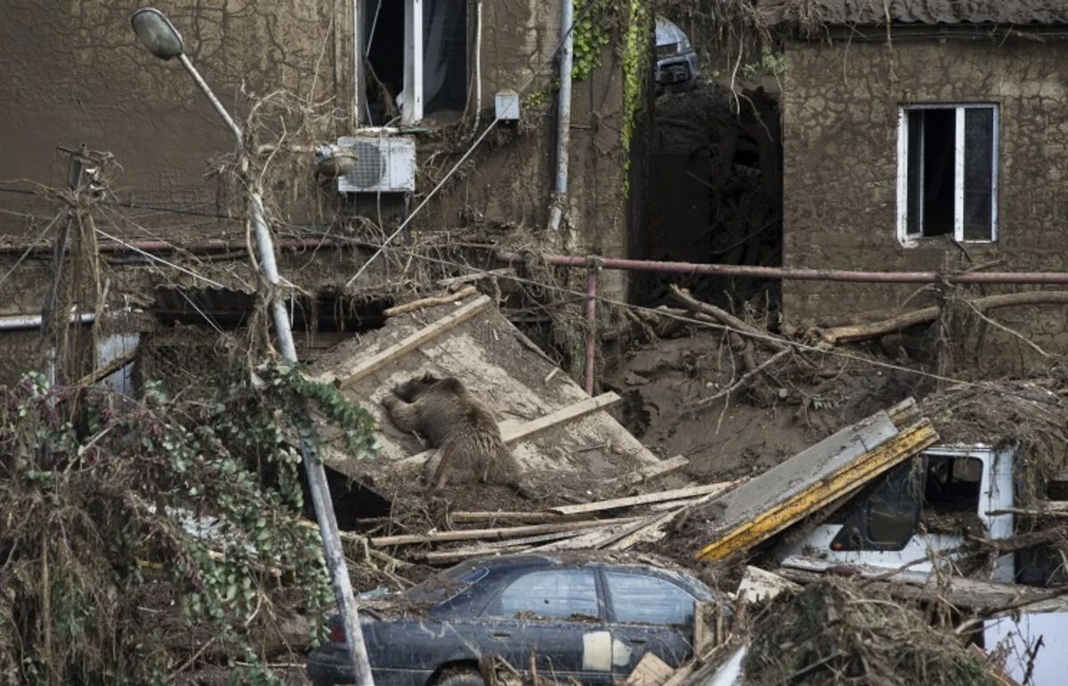 Tbilisi floods: 14 missing people found