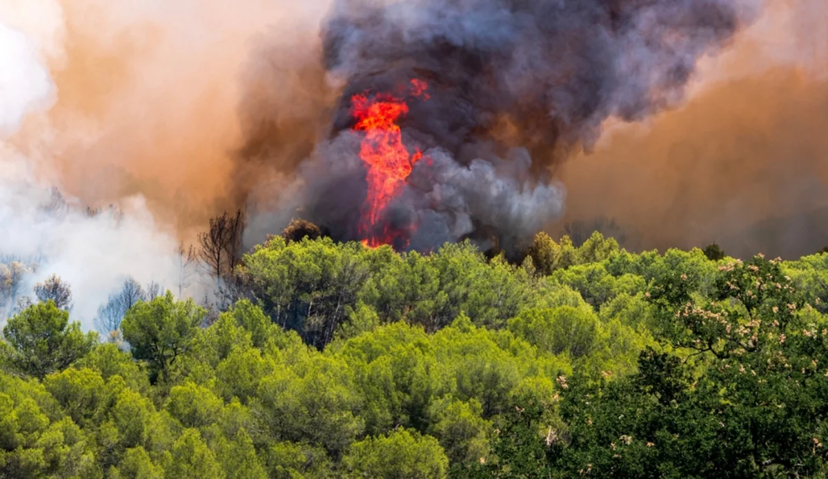 İspaniyada meşə yanğını səbəbindən 1,5 mindən çox insan təxliyə edilib