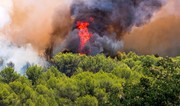 Wildfire in southern Spain forces evacuation of over 1,500 people