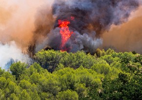 Wildfire in southern Spain forces evacuation of over 1,500 people