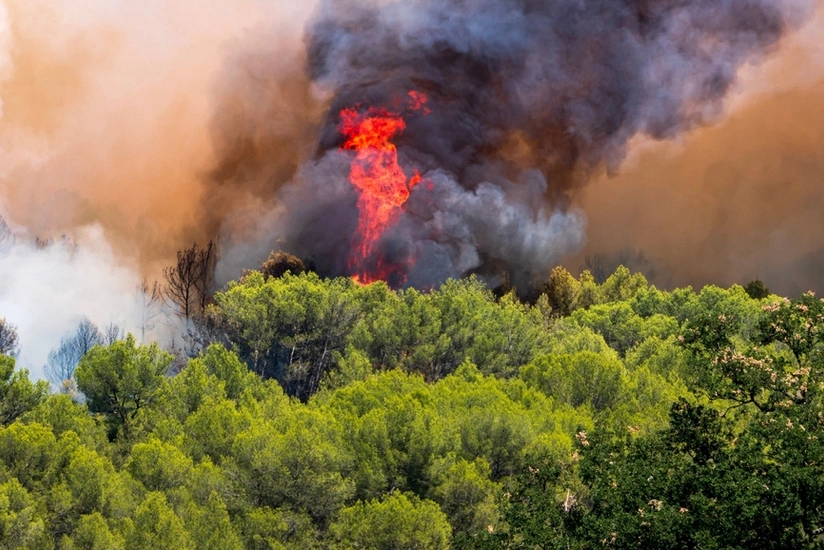 Wildfire in southern Spain forces evacuation of over 1,500 people