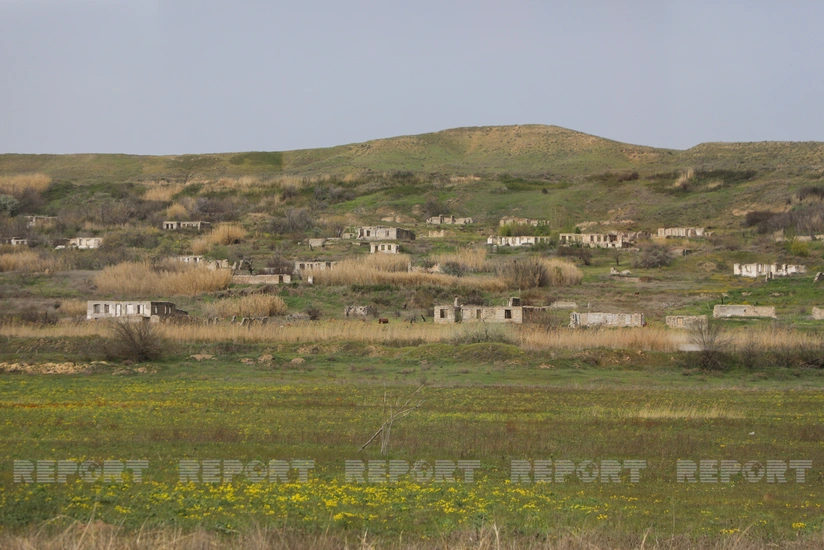 Azerbaijan to establish animal disease-free zones in liberated areas