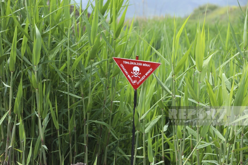 Azad olunan ərazilərdə ötən həftə zərərsizləşdirilən mina sayı açıqlanıb