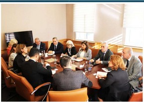 Azərbaycanda auditorlar üçün imtahanların təşkil olunması müzakirə edilib