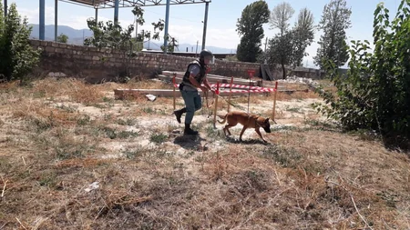 Qazaxda iki minaatan mərmi aşkarlandı