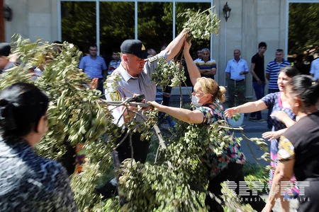 В Баку жители провели акцию протеста против вырубки деревьев - ФОТО