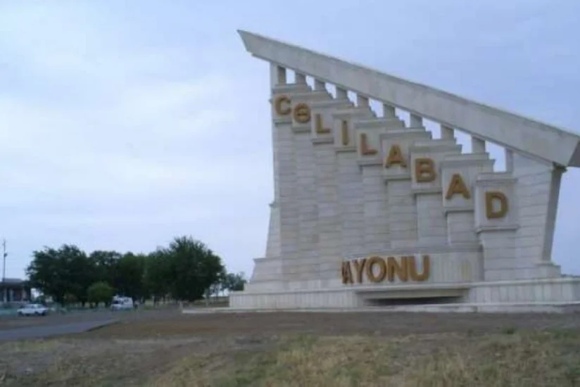 Cəlilabad İcra Hakimiyyətinin şöbə müdiri işdən çıxarılıb