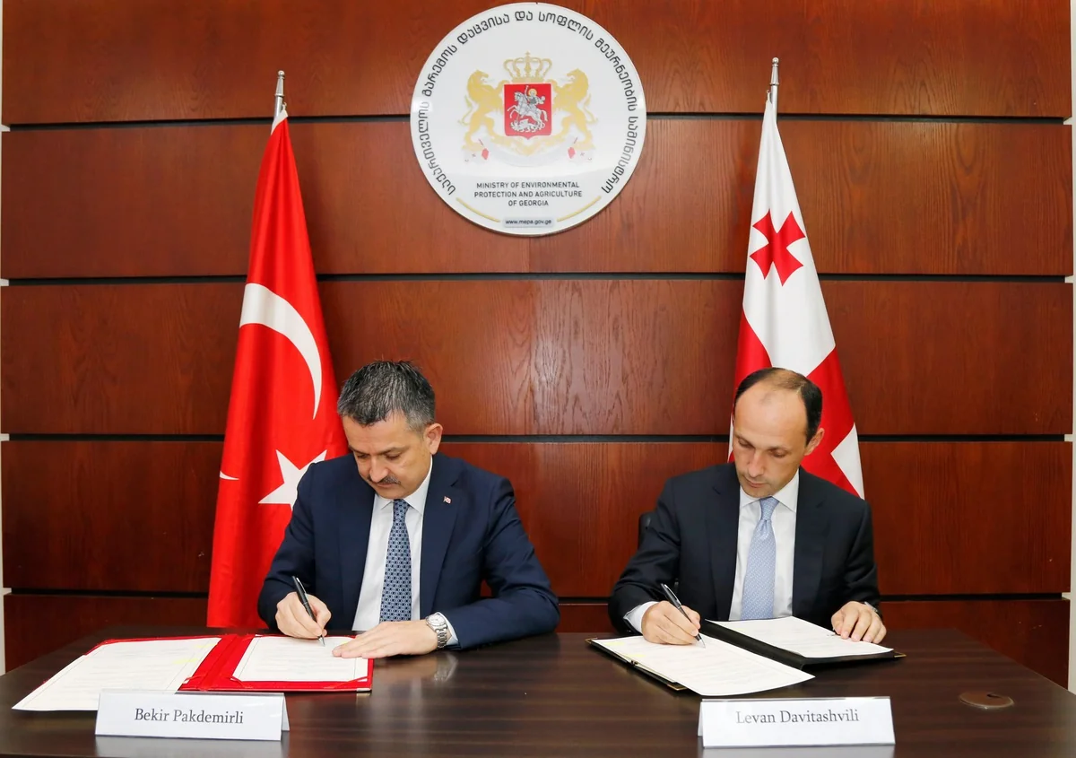 Tbilisidə Azərbaycan, Türkiyə və Gürcüstan arasında fındıqçılıq sahəsində əməkdaşlıq müzakirə edilib