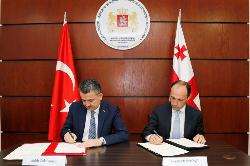 Tbilisidə Azərbaycan, Türkiyə və Gürcüstan arasında fındıqçılıq sahəsində əməkdaşlıq müzakirə edilib
