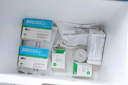 Ağdaşda heyvanlar arasında xüsusi təhlükəli xəstəliklərə qarşı aparılan profilaktik tədbirlər davam etdirilir