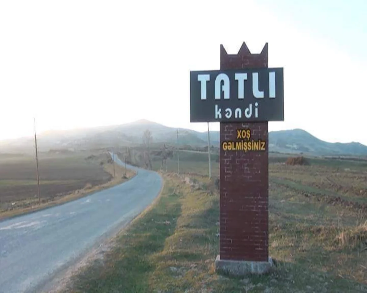 Ağstafada sahibsiz itlər 6 qoyunu parçalayıb - FOTO