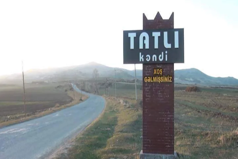 Ağstafada sahibsiz itlər 6 qoyunu parçalayıb - FOTO