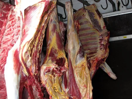 Bakıya yararsız mal ətinin gətirilməsi cəhdinin qarşısı alınıb