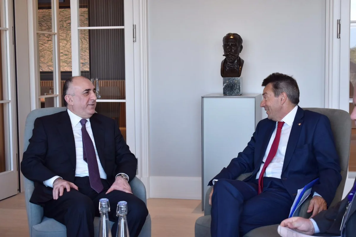 Foreign Minister reminds to ICRC president about importance of release of Shahbaz Guliyev and Dilgam Asgarov
