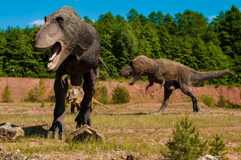 New study suggests volcanic eruptions contributed to dinosaur extinction