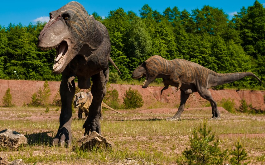 New study suggests volcanic eruptions contributed to dinosaur extinction