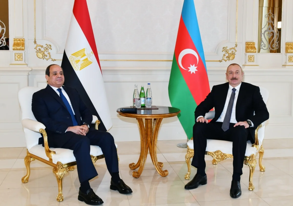 Azerbaijani President: We will strengthen our joint activities with Egypt in international organizations