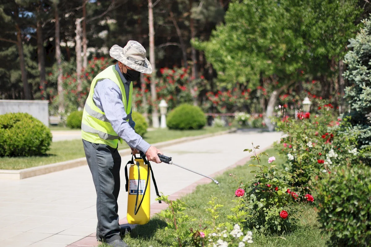 Azərbaycanda hazırda 56 min insan ödənişli ictimai işlərdə çalışır