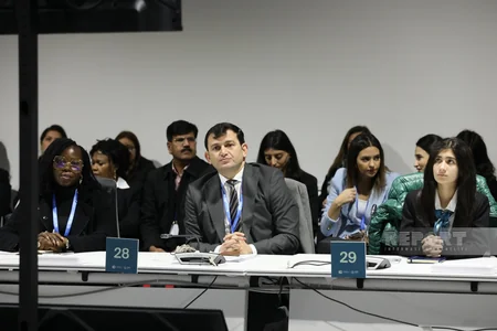 В рамках COP29 состоялся круглый стол высокого уровня по вопросам детей, молодежи и климатических действий