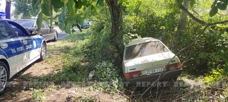 Şəkidə avtomobil ağaca çırpılıb, xəsarət alanlar var