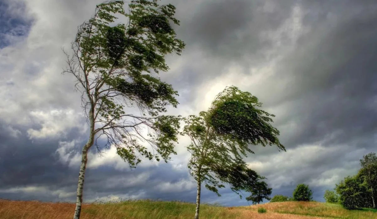 Temperatur aşağı düşəcək, güclü külək əsəcək - XƏBƏRDARLIQ