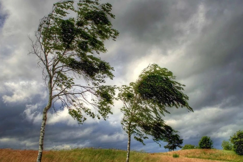 Temperatur aşağı düşəcək, güclü külək əsəcək - XƏBƏRDARLIQ