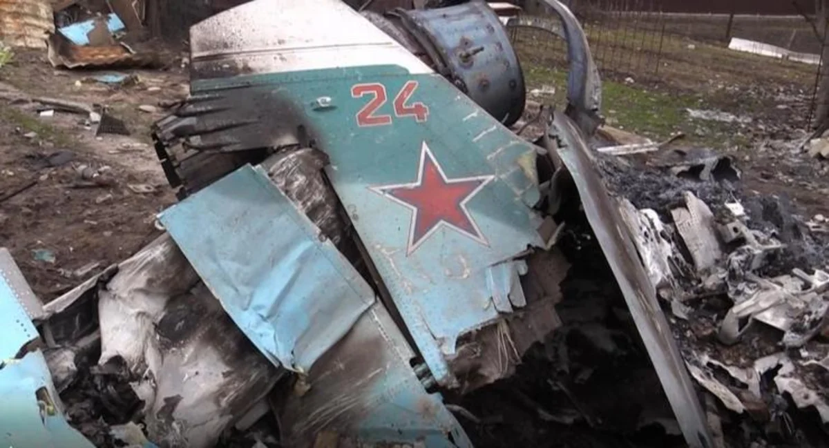 Su-34 aircraft crash in Yeysk caused by birds caught in engine