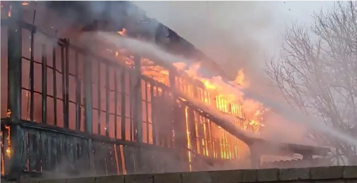 FHN əməliyyat görüntülərini yaydı