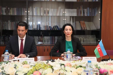 Ombudsman BQXK nümayəndəsi qarşısında  itkin düşmüş azərbaycanlılarla bağlı məsələ qaldırıb