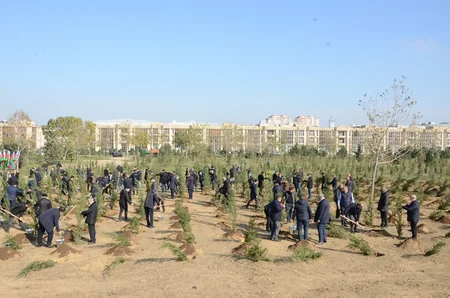 Bakıda Zəfər Günü münasibətilə ağacəkmə aksiyası keçirilib