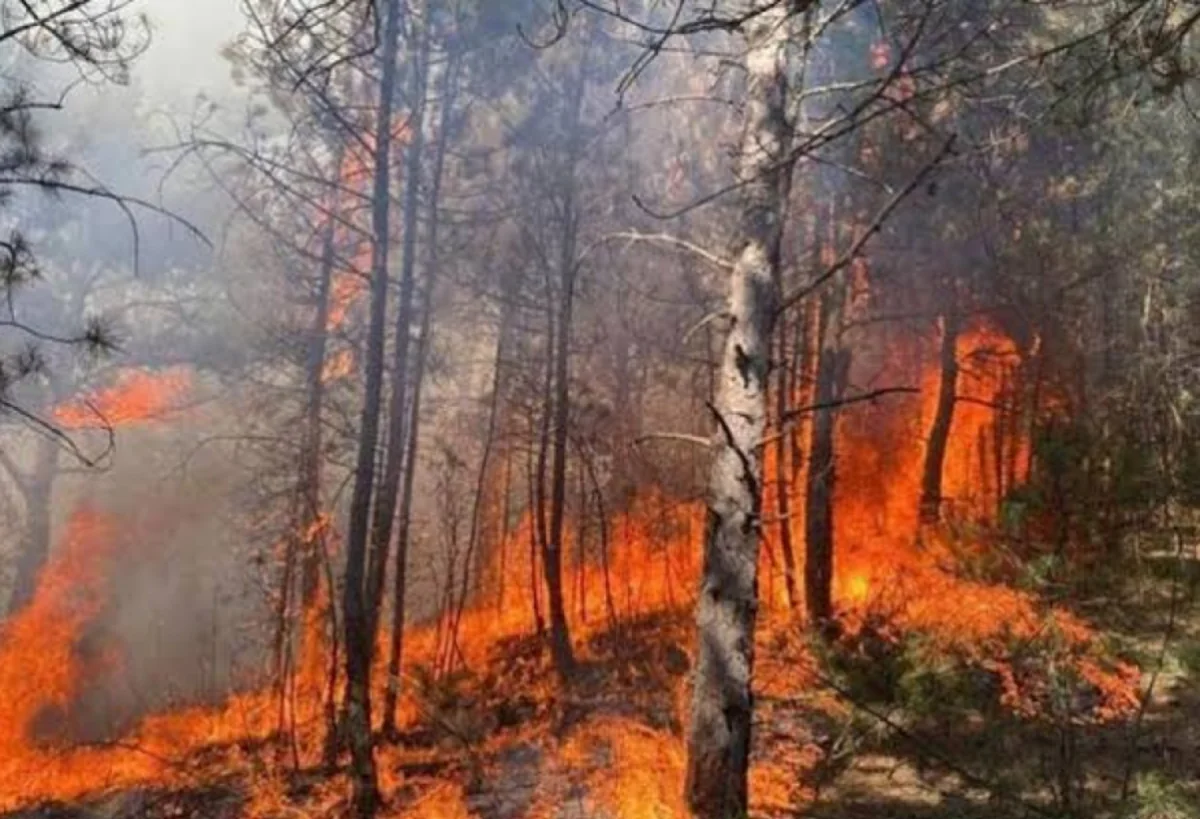 Rusiyada meşə yanğınları güclənib