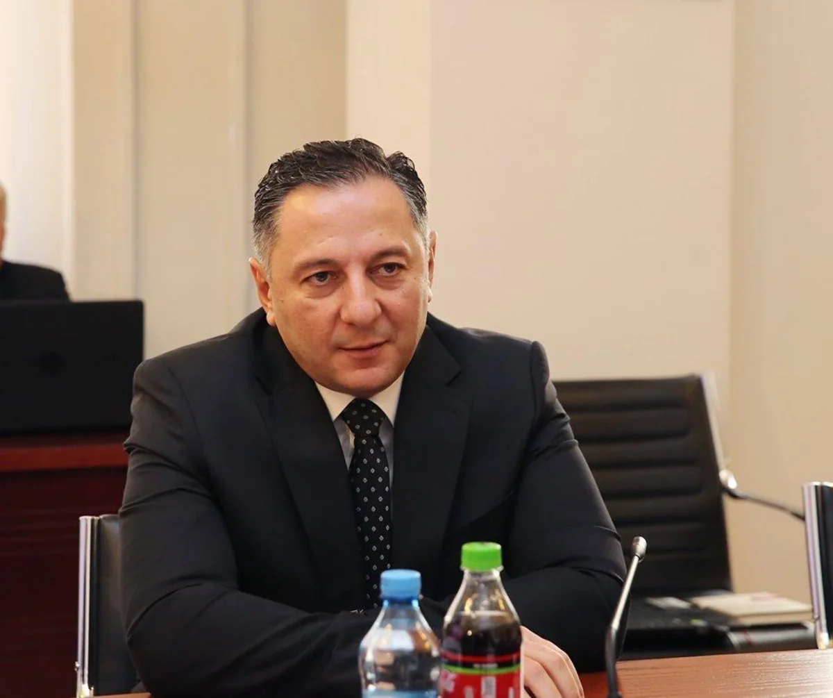 Minister: Georgia doing everything possible to protect its borders