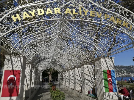 İstanbulda Vətən müharibəsi şəhidlərinin anım mərasimi keçirilib