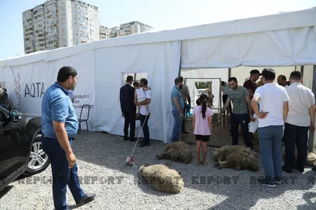 Bakıda əhali qurban kəsib