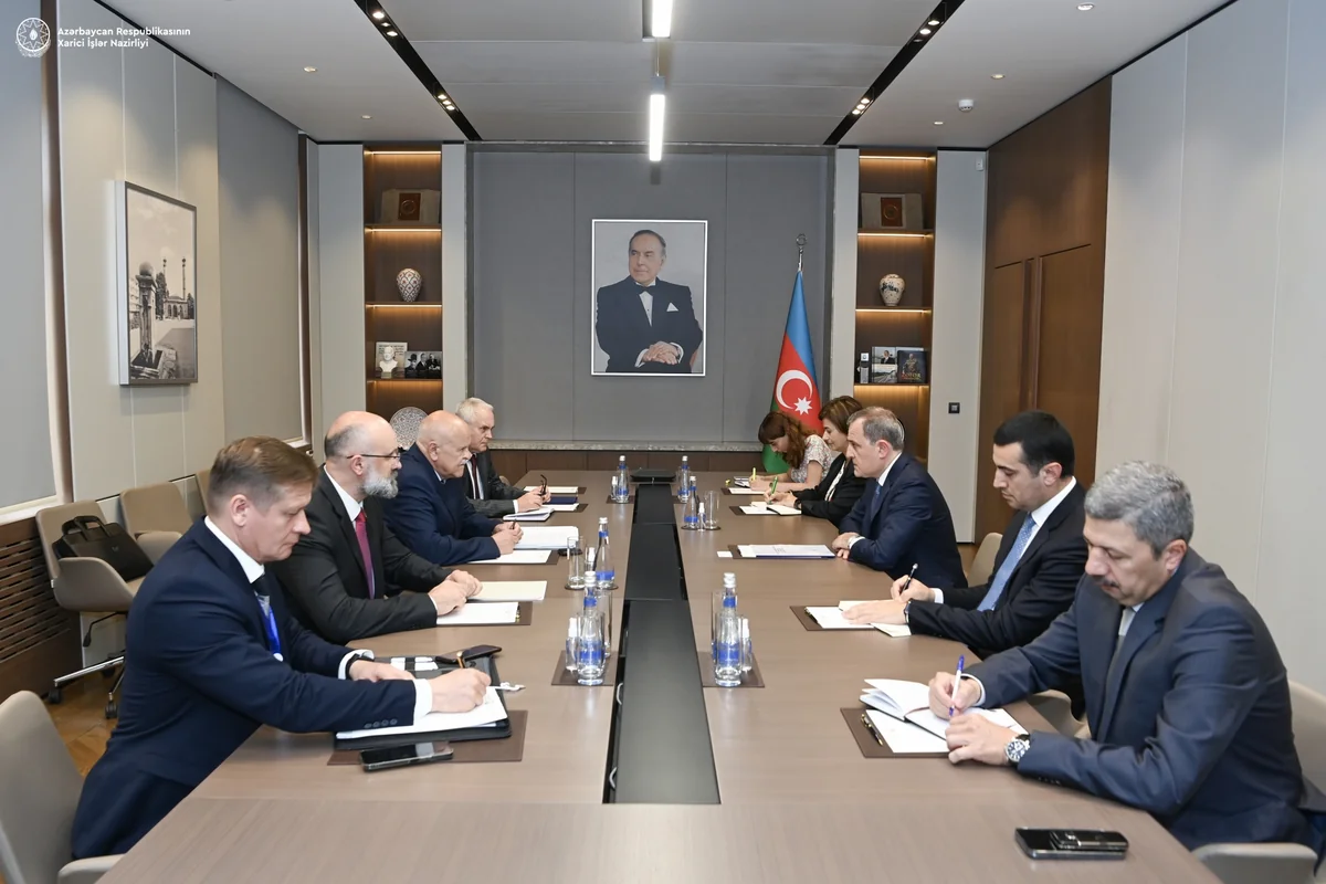 Azerbaijani FM meets with CIS election observers