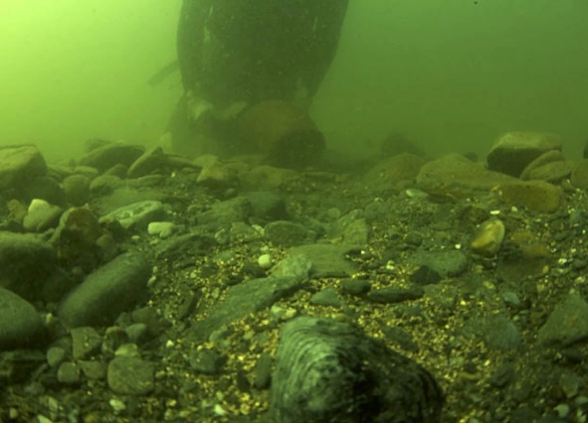 Huge seabed gold deposit discovered off eastern China coast