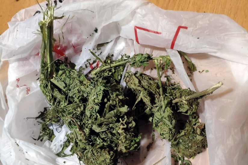 Gürcüstandan ölkəyə narkotik vasitənin keçirilməsinin qarşısı alınıb