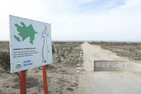 Gələcəyimizin 5T gündəliyi adlı maarifləndirici tədbir keçirilib