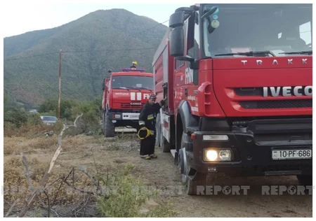 Şəkidə yanğınlar olub